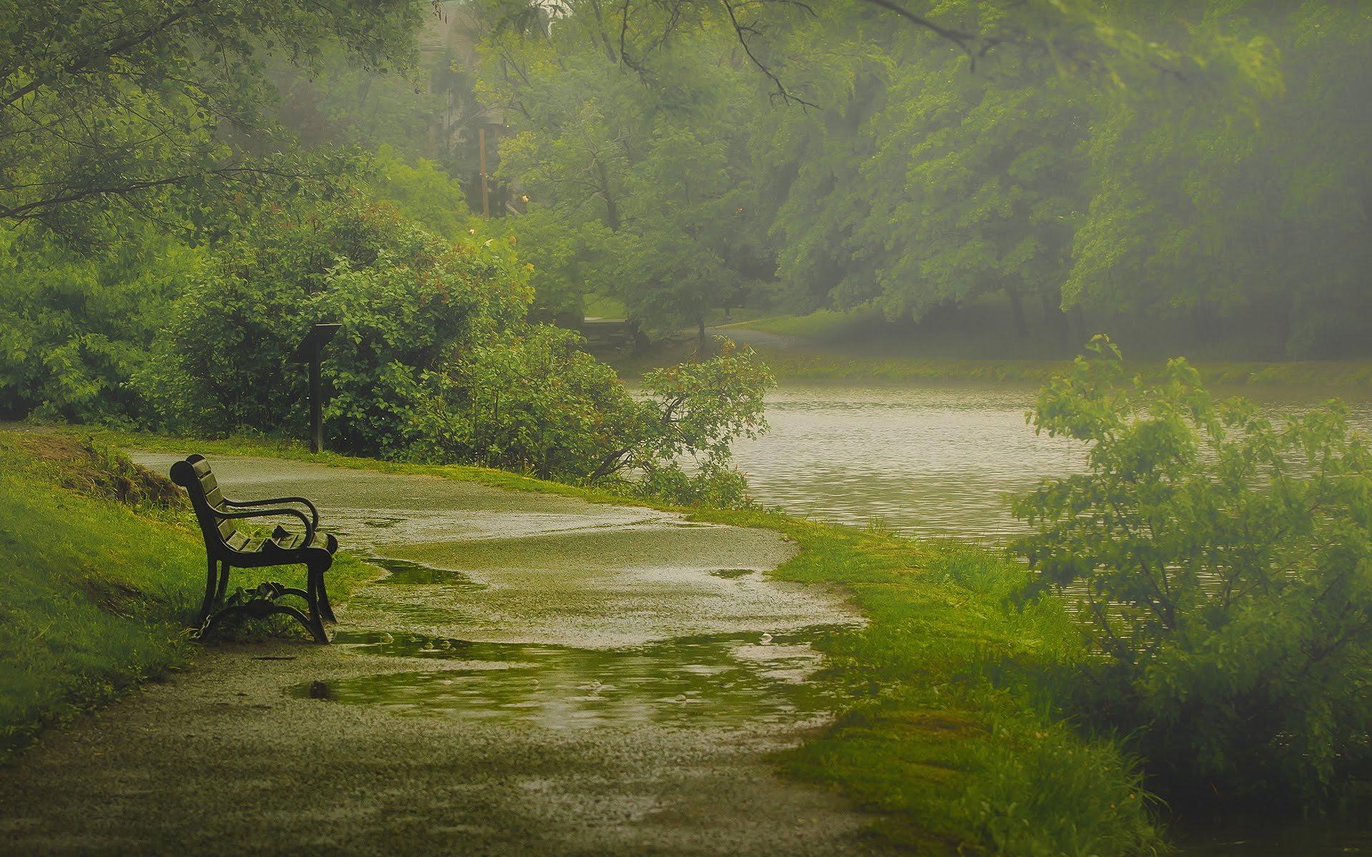 Calming Rain Wallpapers Top Free Calming Rain Backgrounds WallpaperAccess