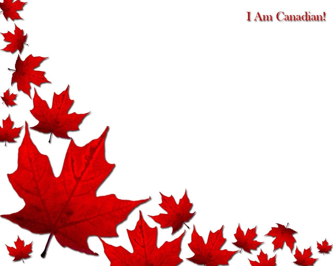 Canadian Wallpapers Top Free Canadian Backgrounds WallpaperAccess