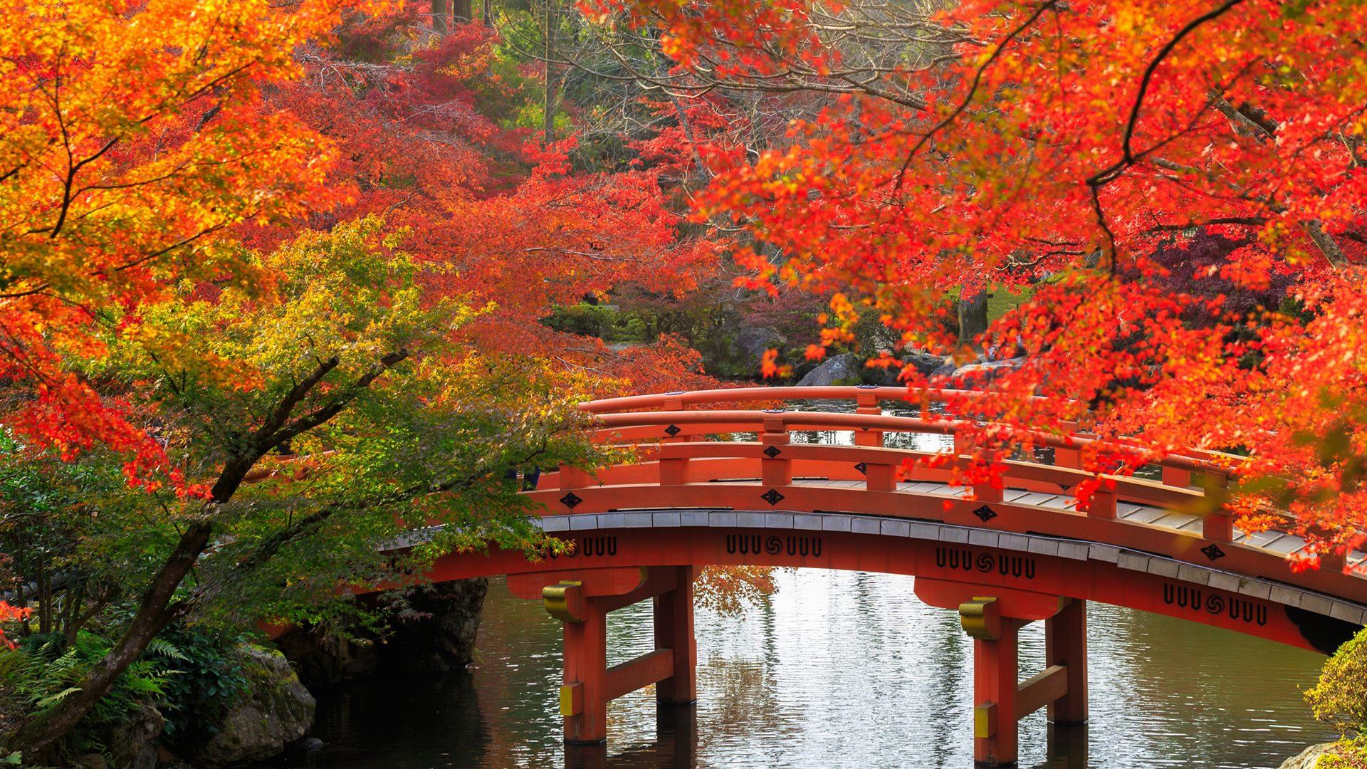 Japanese Scenery Desktop Wallpapers Top Free Japanese Scenery Desktop