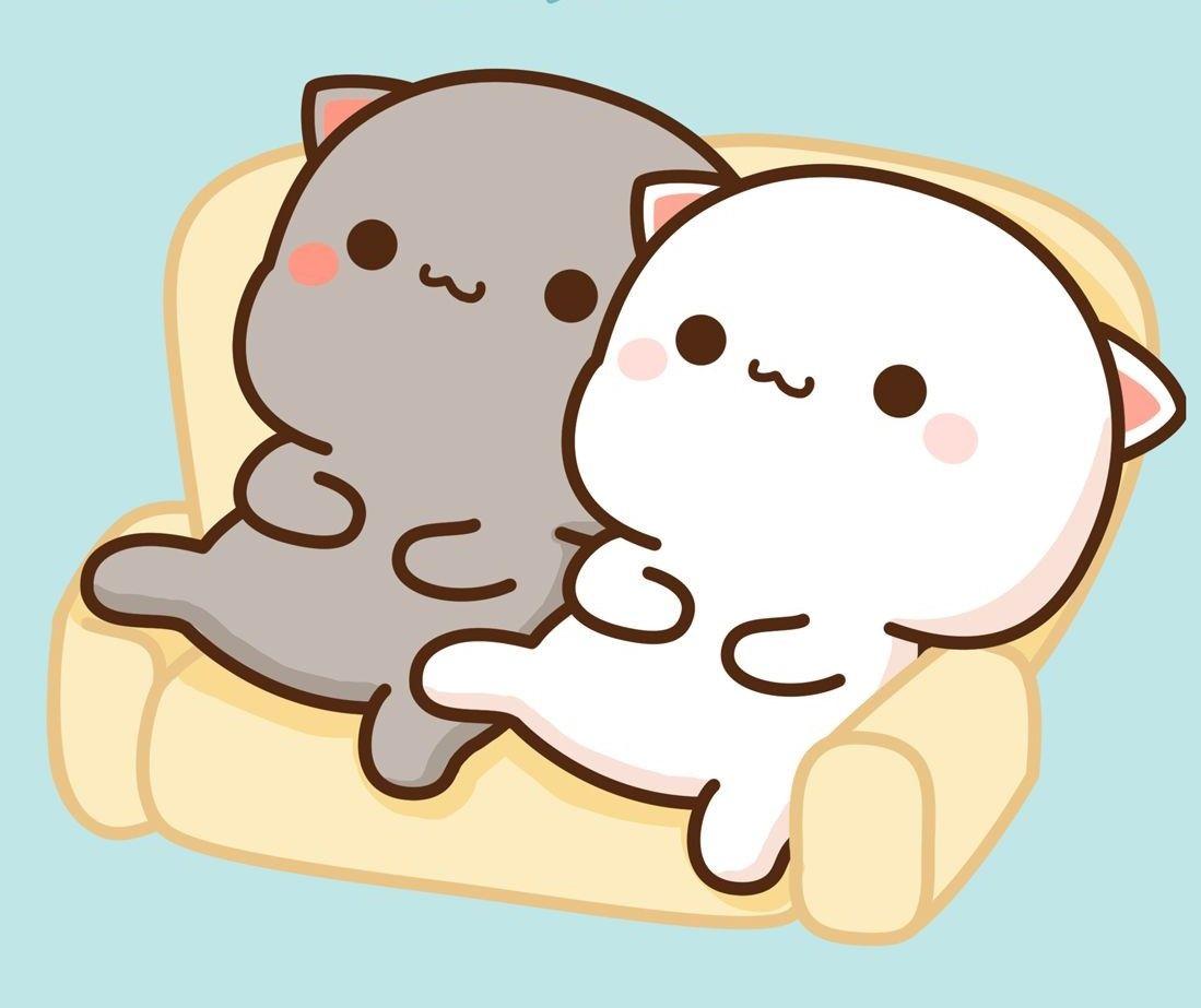 Peach and Goma Wallpapers Top Free Peach and Goma Backgrounds