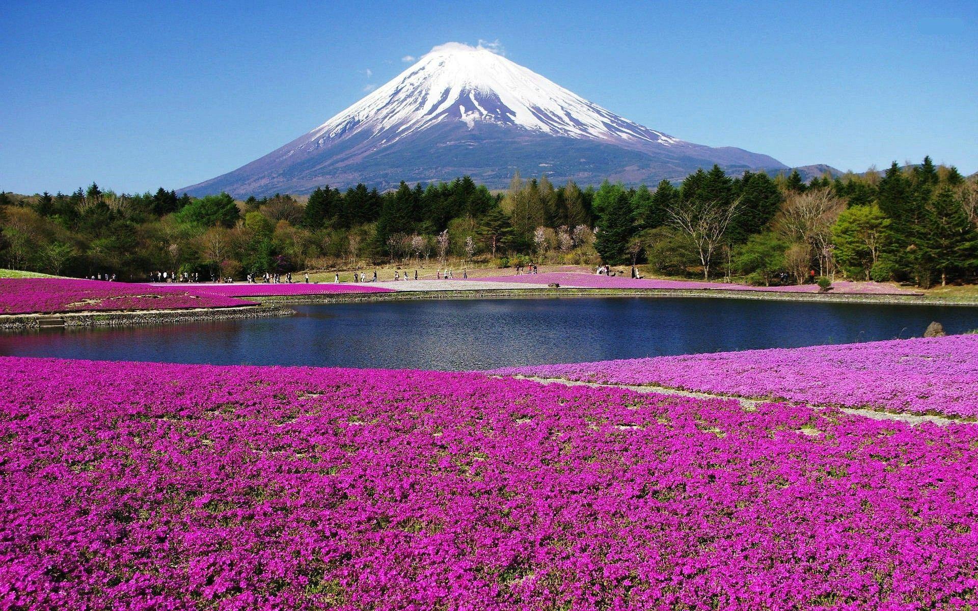 Japan Scenery Wallpapers Top Free Japan Scenery Backgrounds