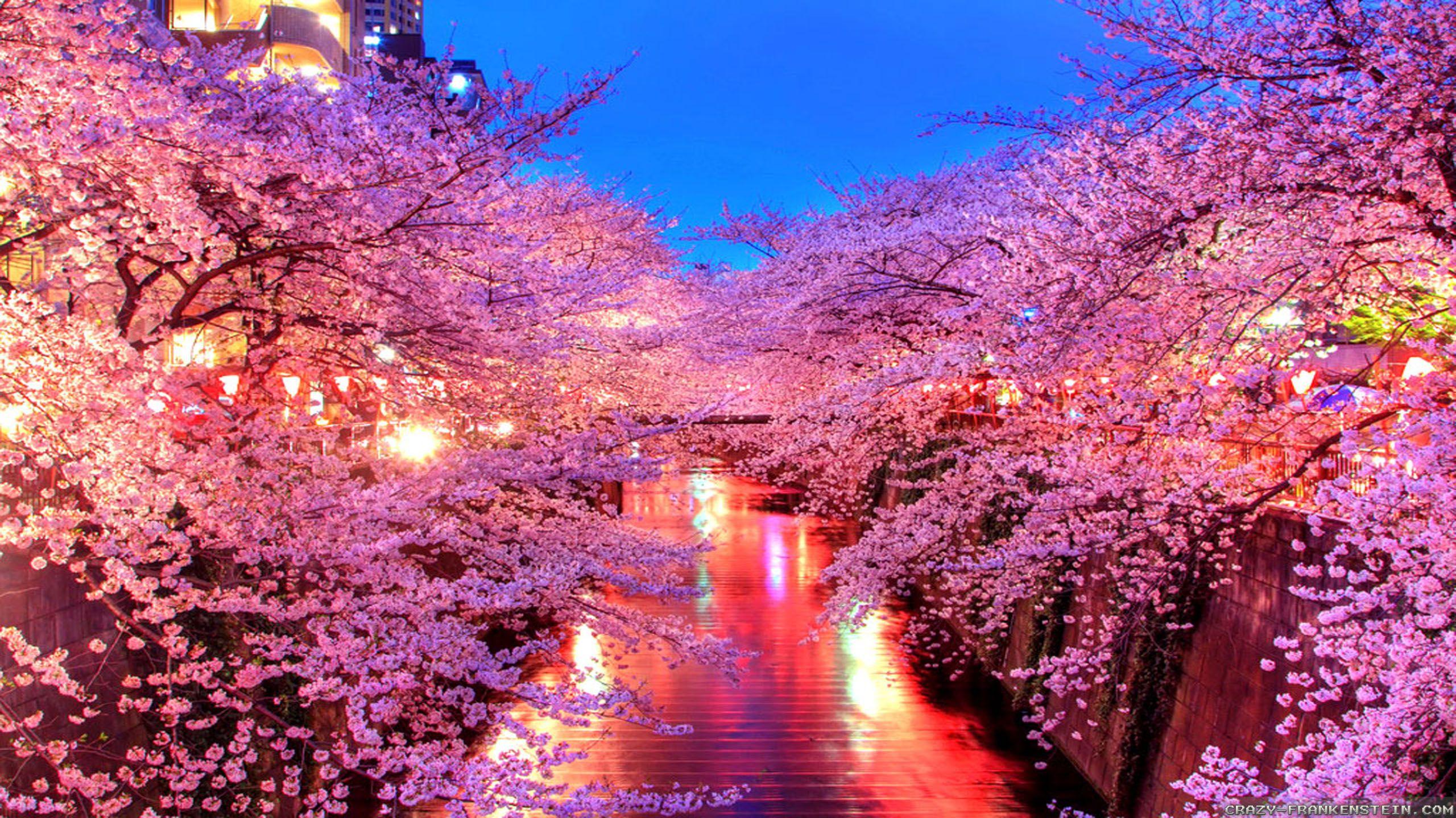 Japan Wallpapers Top Free Japan Backgrounds WallpaperAccess