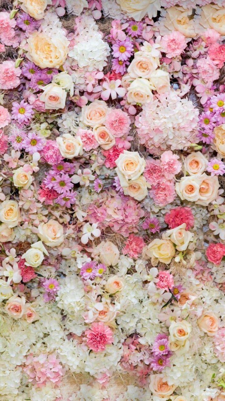 Nature Flowers iPhone Wallpapers Top Free Nature Flowers iPhone