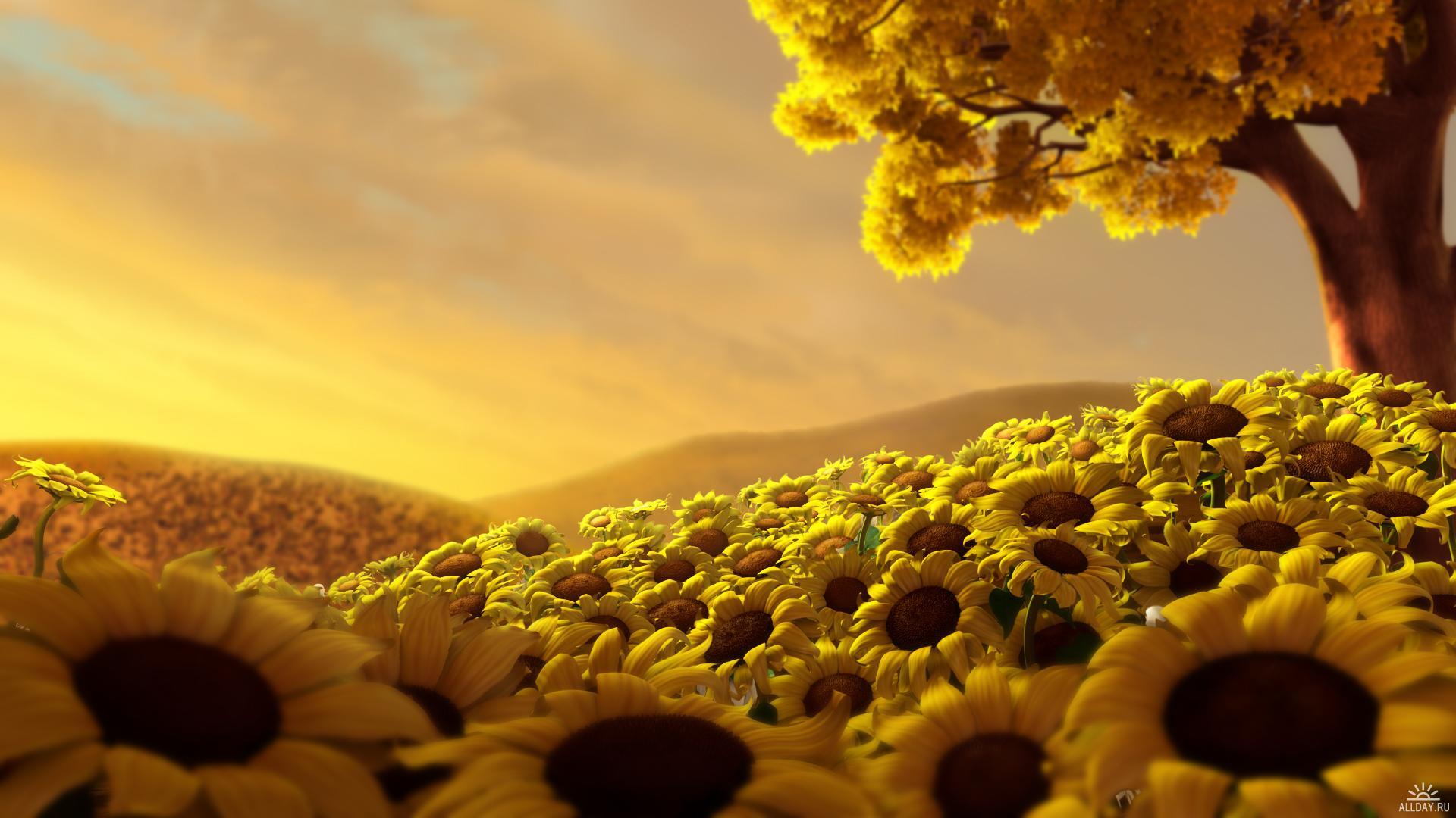 Beautiful Yellow Nature Wallpapers Top Free Beautiful Yellow Nature