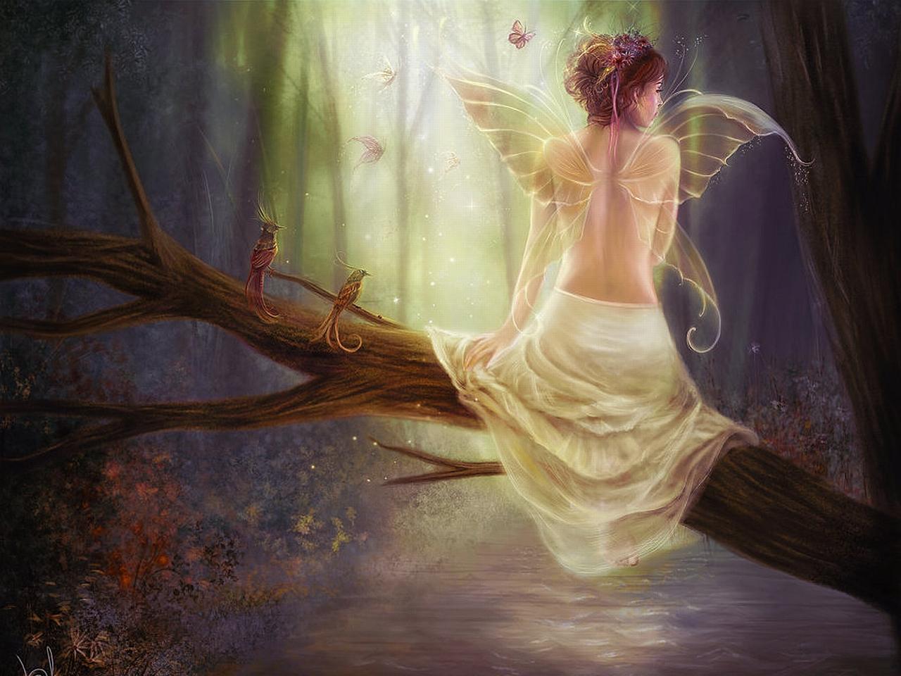 Fairy Computer Wallpapers - Top Free Fairy Computer Backgrounds
