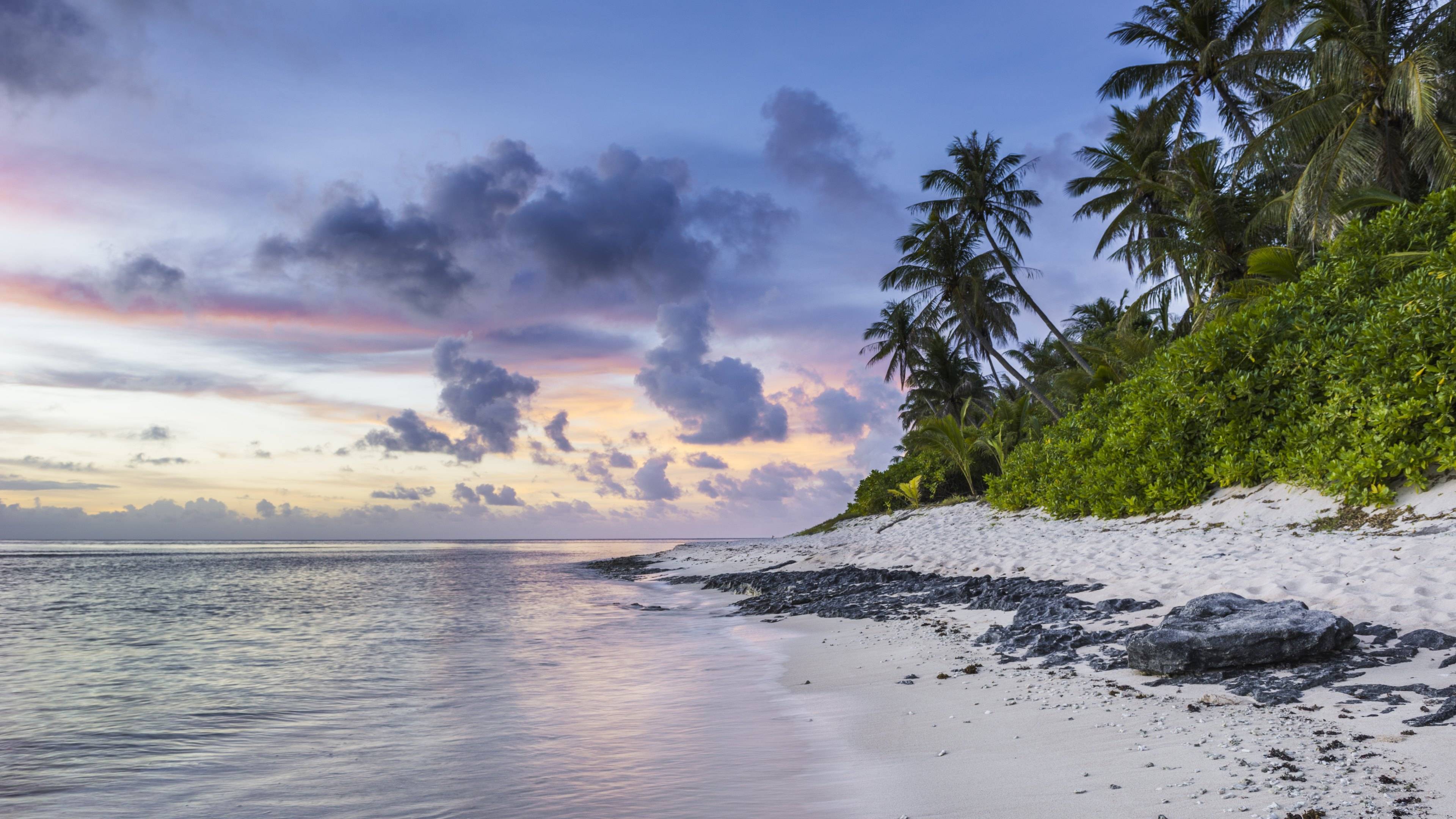 4K Exotic Wallpapers Top Free 4K Exotic Backgrounds WallpaperAccess