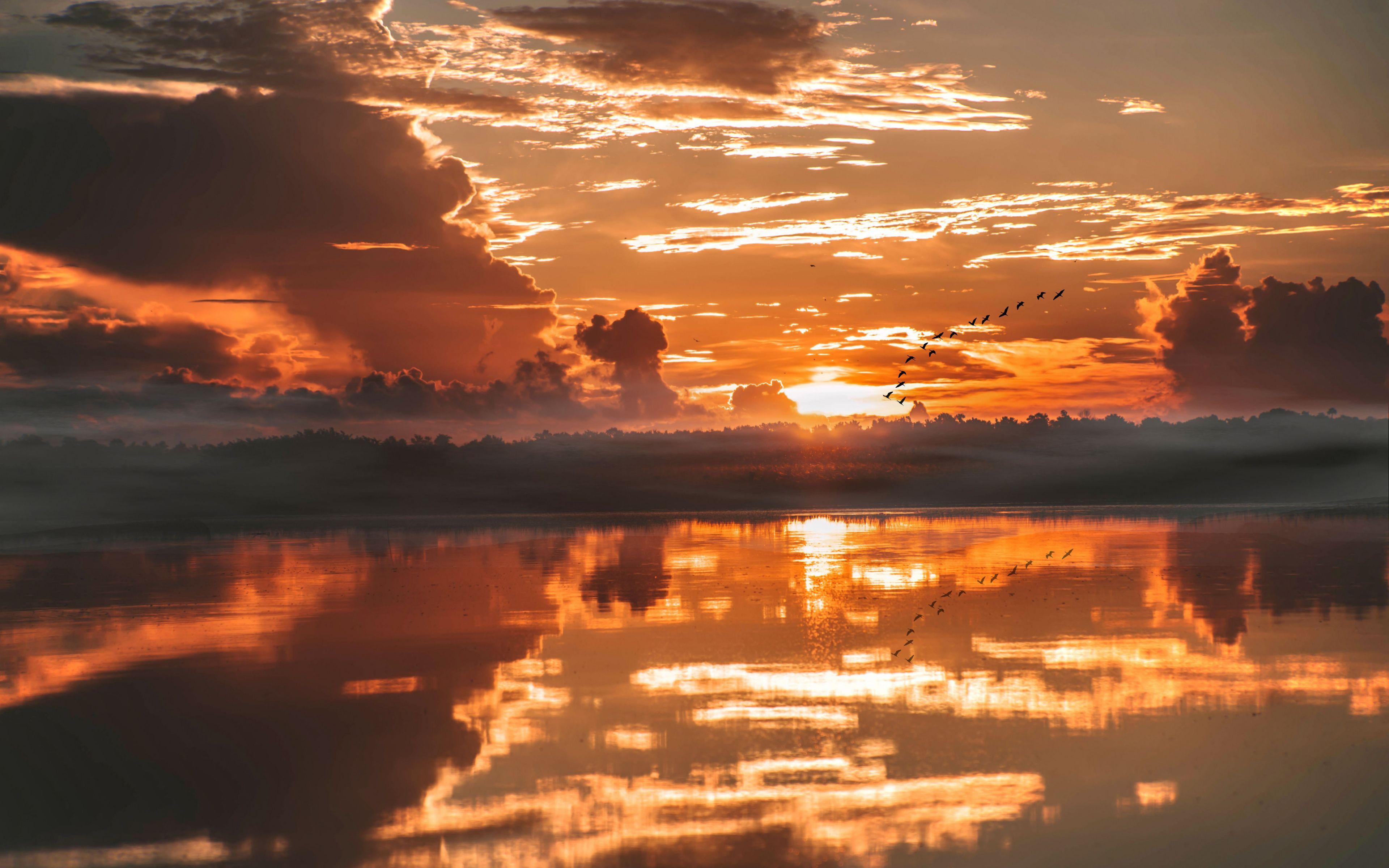 4K Exotic Wallpapers Top Free 4K Exotic Backgrounds WallpaperAccess