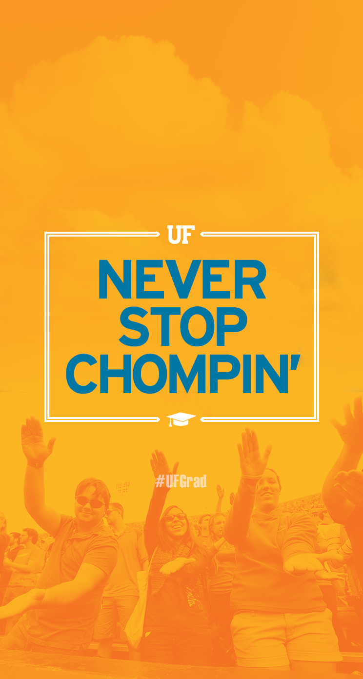 Florida Phone Wallpapers Top Free Florida Phone Backgrounds