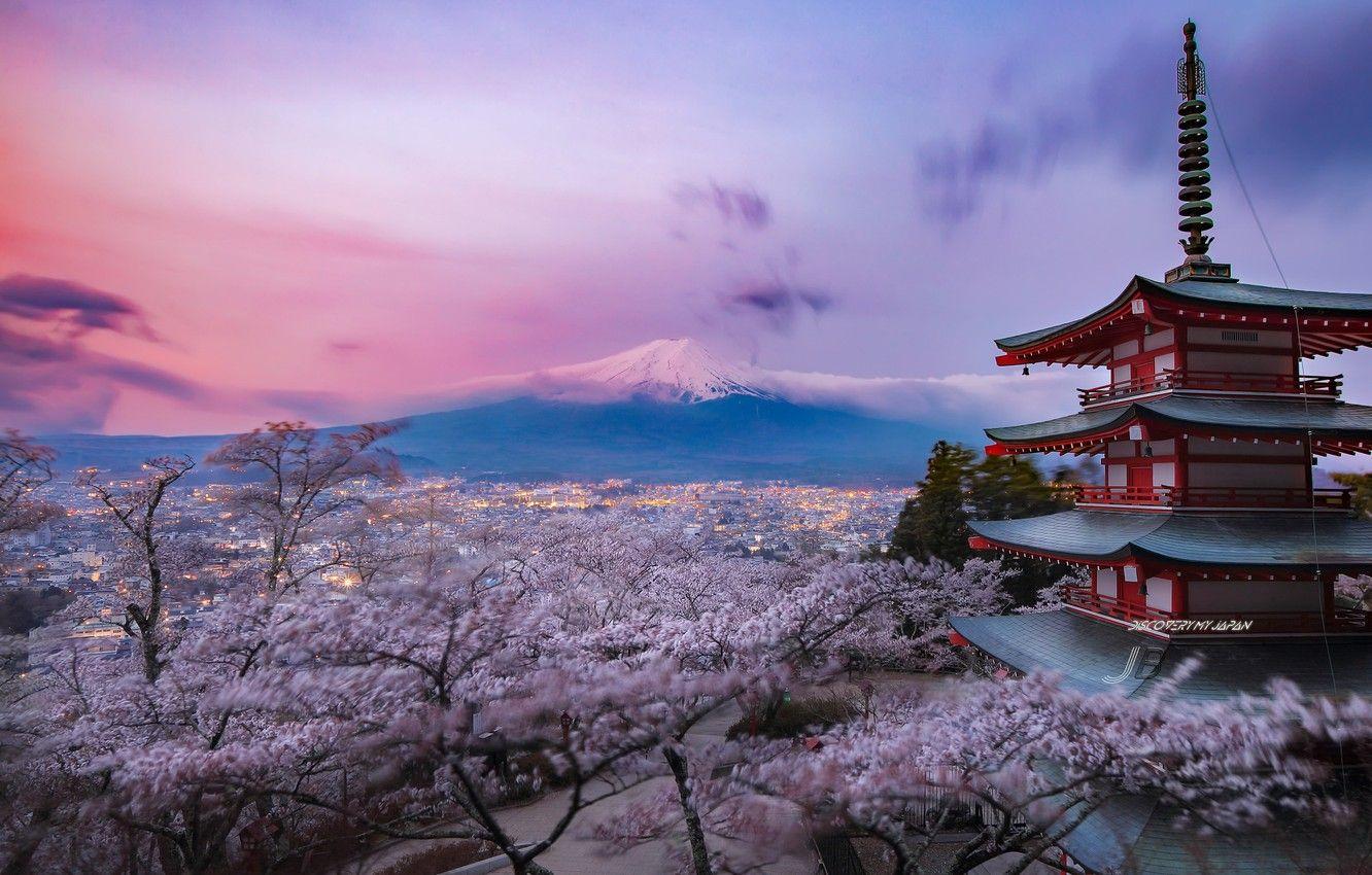 Purple Japanese Wallpapers Top Free Purple Japanese Backgrounds