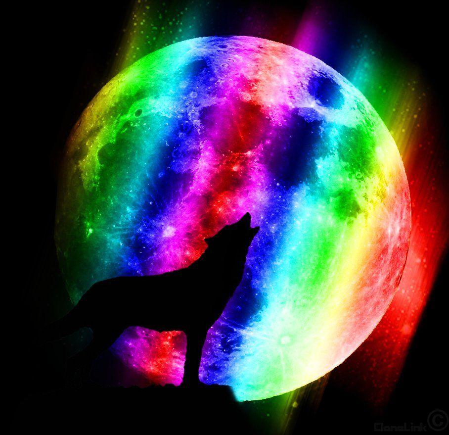 Rainbow Wolf Wallpapers Top Free Rainbow Wolf Backgrounds