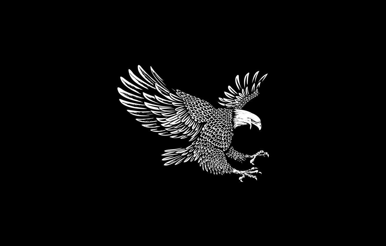 Eagle Minimalist Wallpapers Top Free Eagle Minimalist Backgrounds