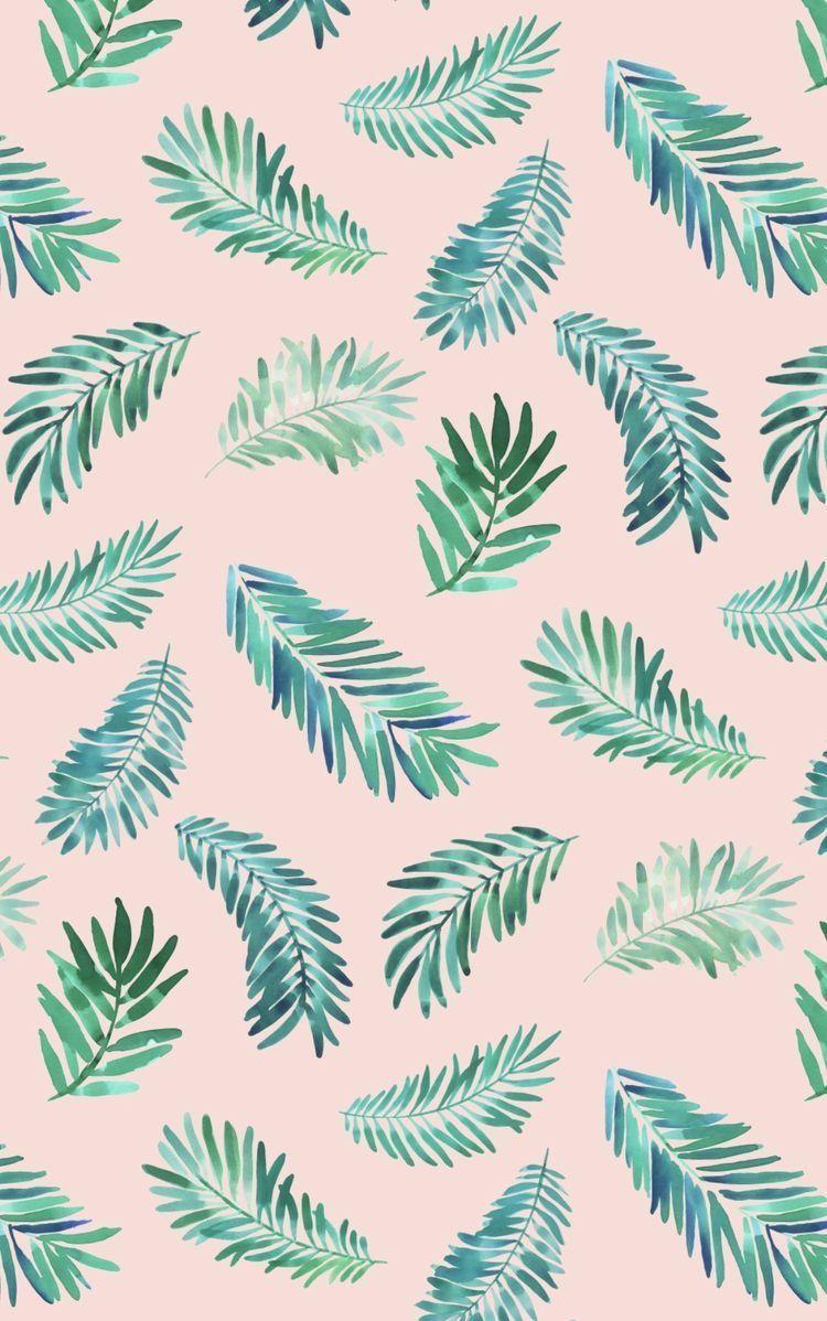 Cute Tropical Wallpapers Top Free Cute Tropical Backgrounds