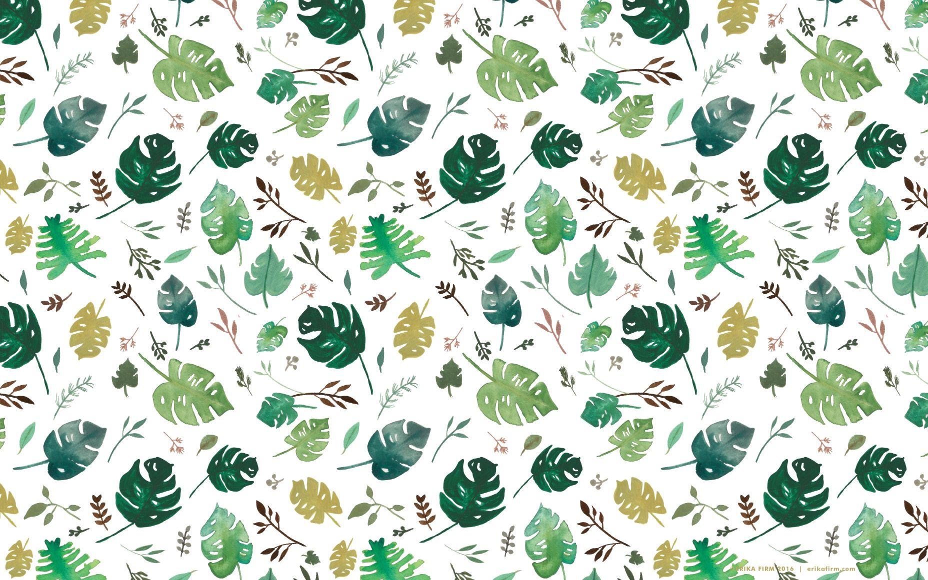 Cute Leaves Wallpapers Top Free Cute Leaves Backgrounds WallpaperAccess