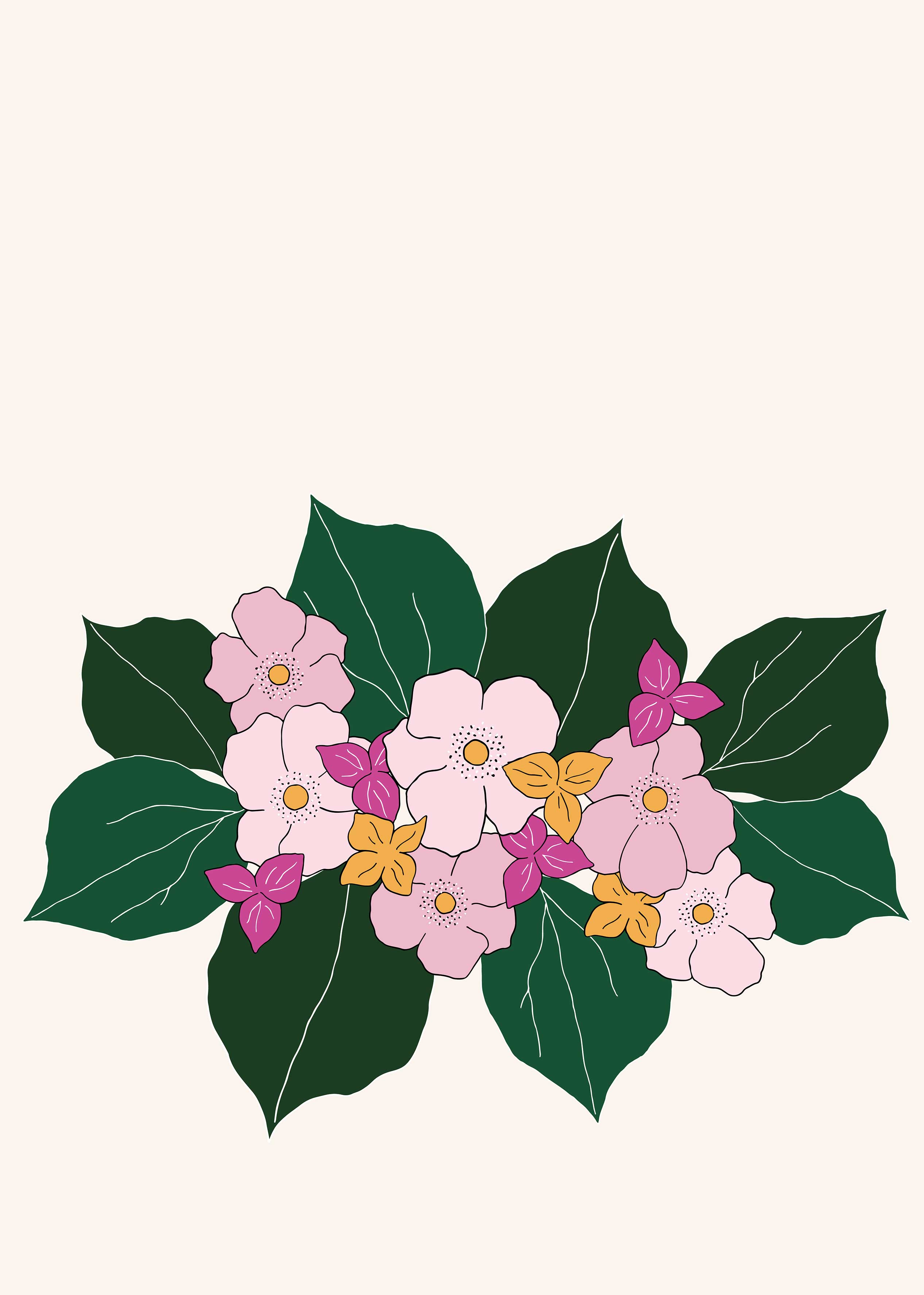 Tropical Flower Phone Wallpapers Top Free Tropical Flower Phone