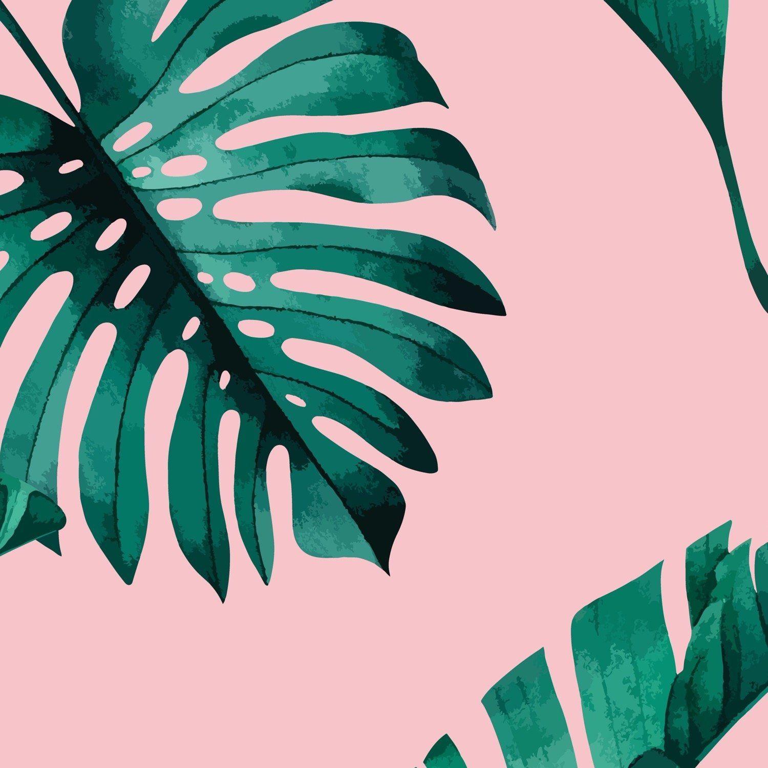 Pink Tropical Leaves Wallpapers Top Free Pink Tropical Leaves