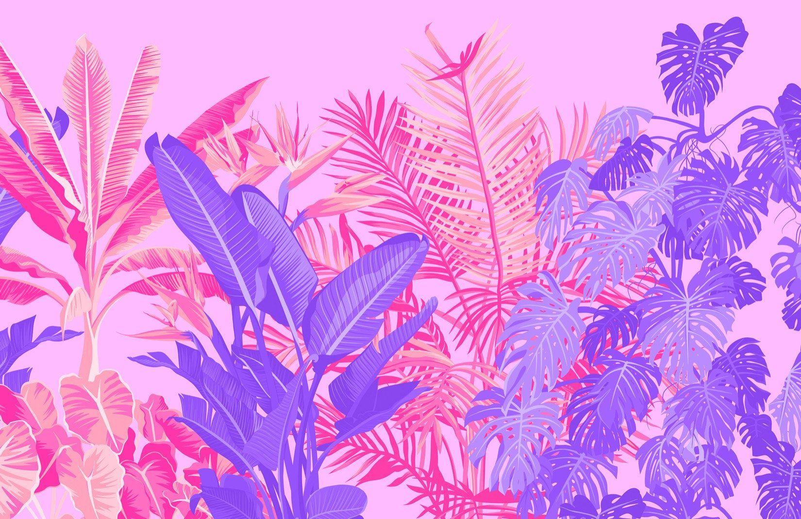 Tropical Pink Wallpapers Top Free Tropical Pink Backgrounds WallpaperAccess