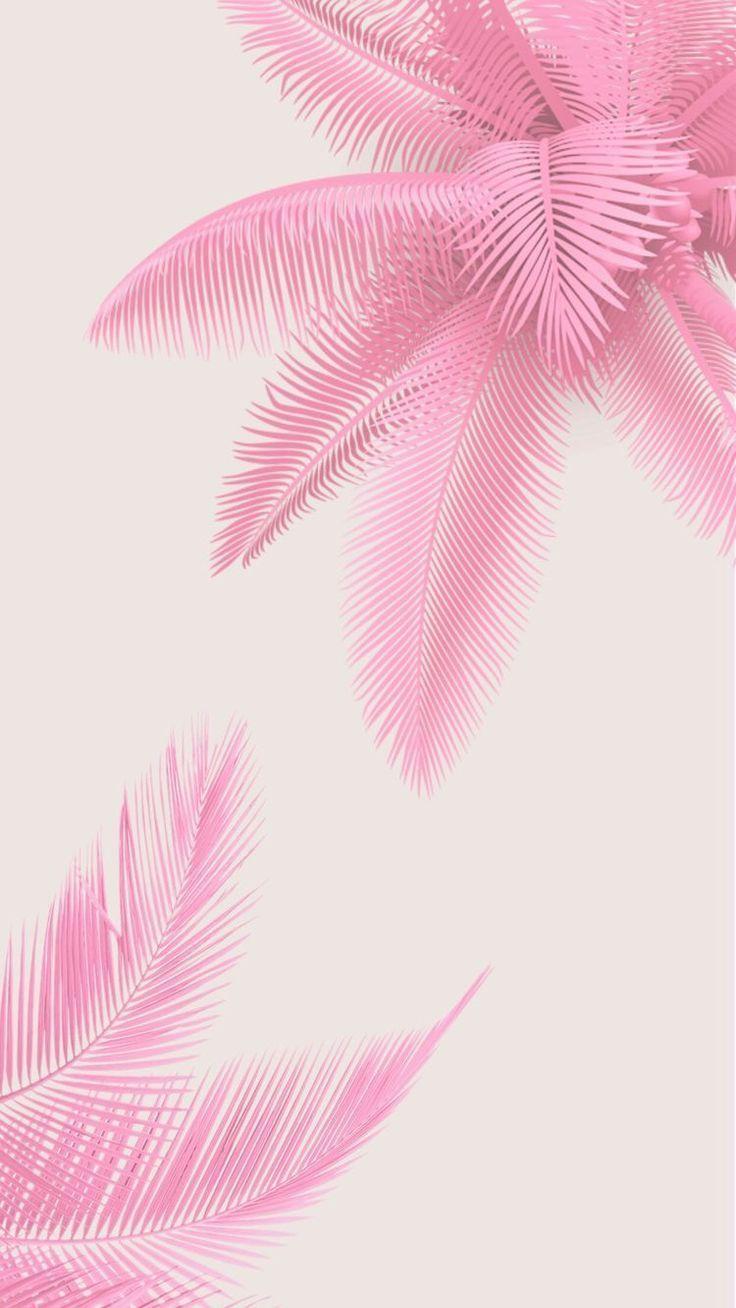 Tropical Pink Wallpapers Top Free Tropical Pink Backgrounds
