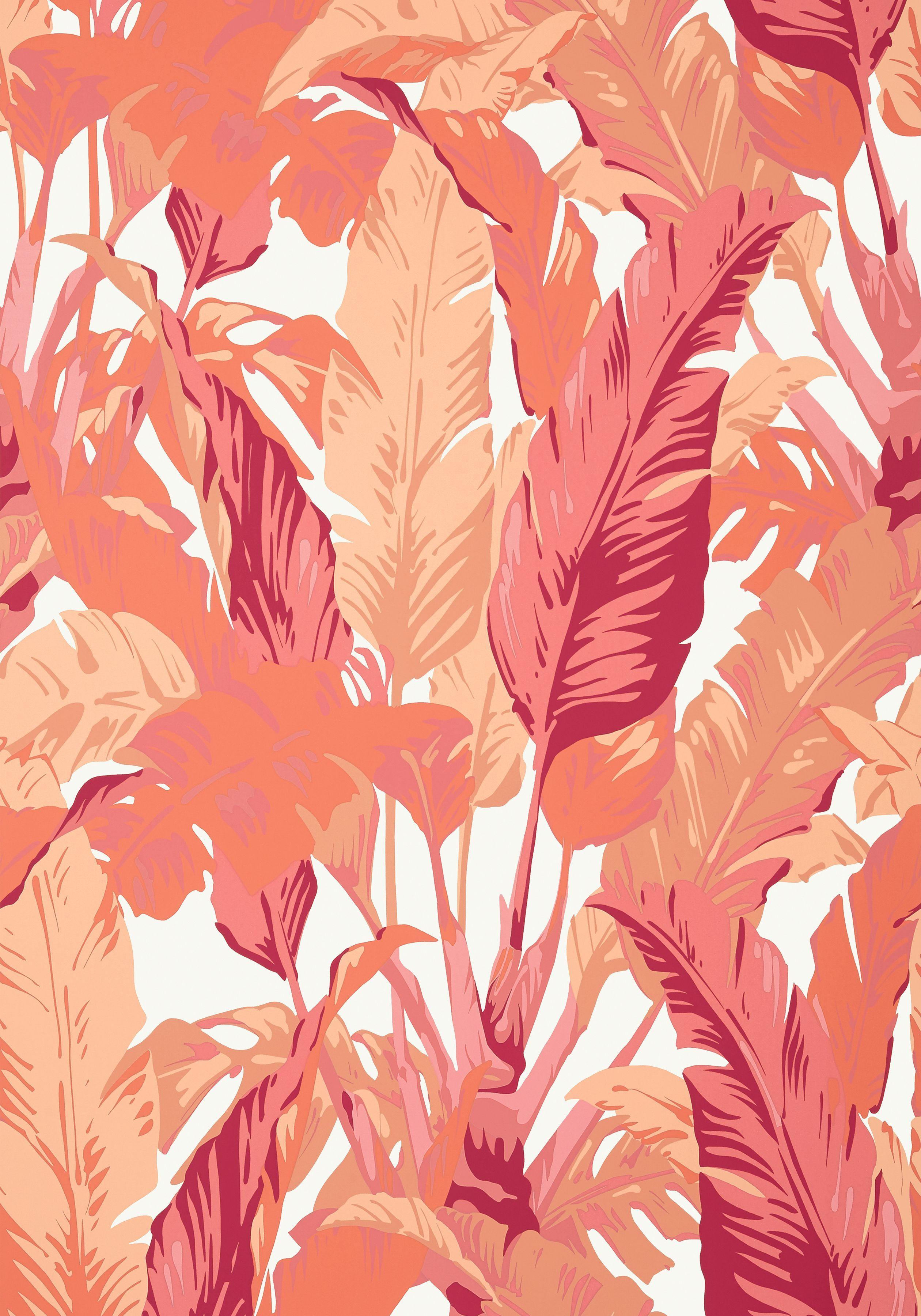 Aesthetic Coral Pink Wallpapers Top Free Aesthetic Coral Pink