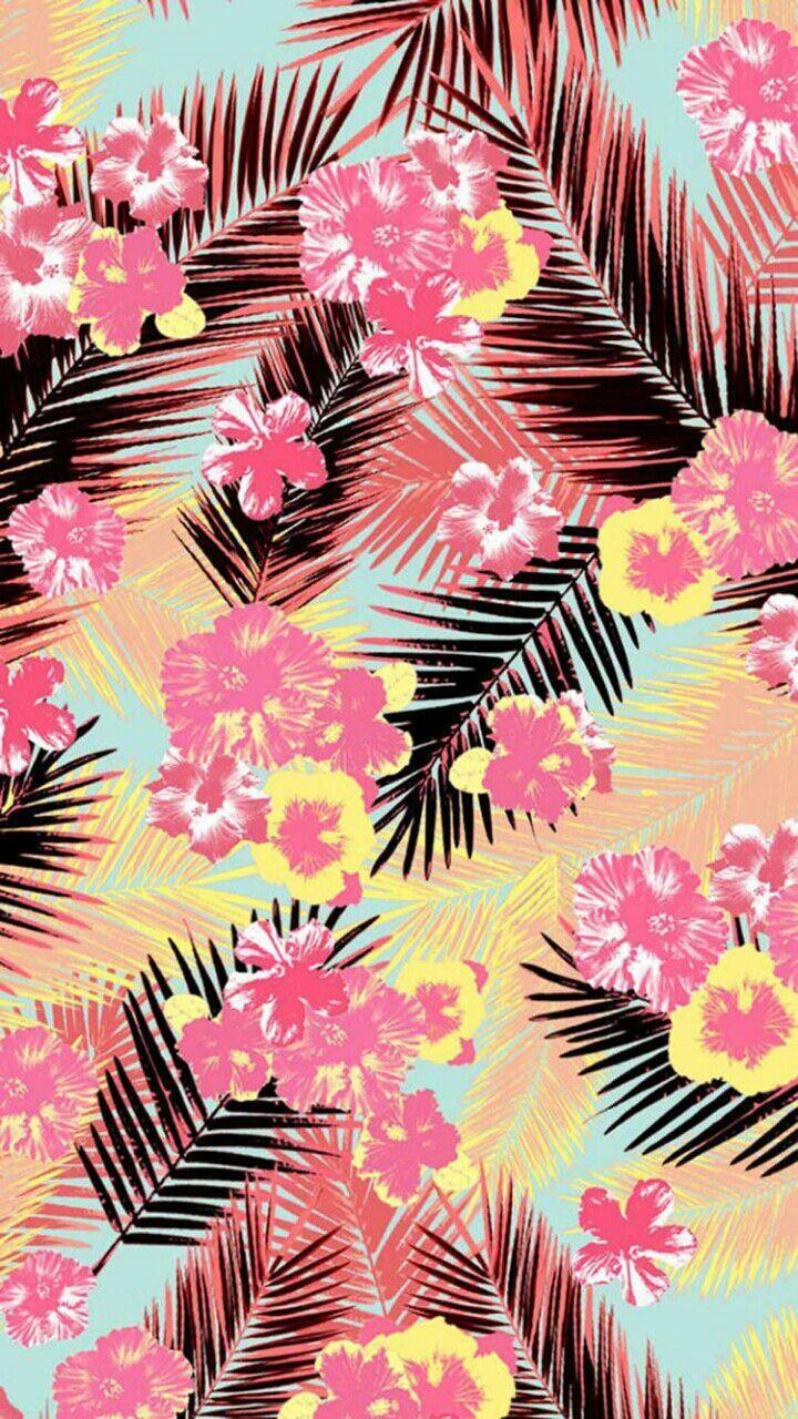 Tropical Pink Wallpapers Top Free Tropical Pink Backgrounds