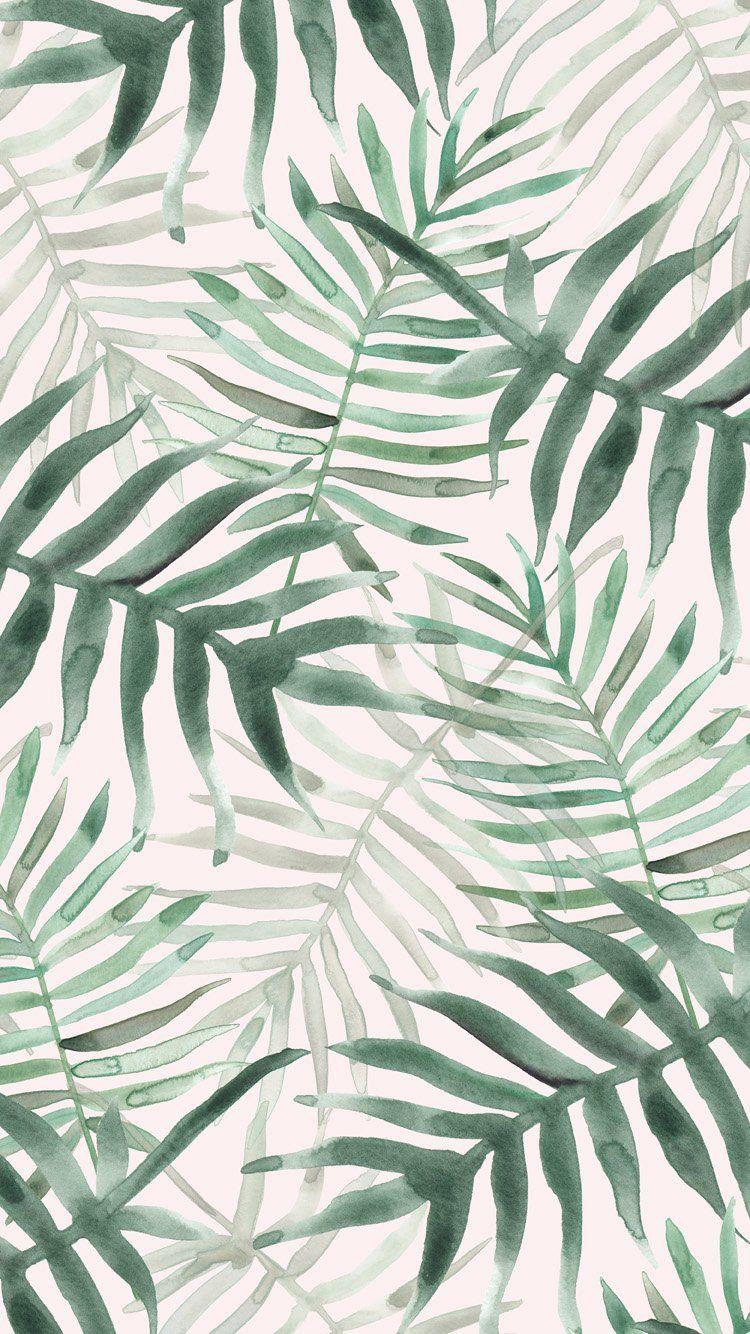 Tropical Pink Wallpapers Top Free Tropical Pink Backgrounds