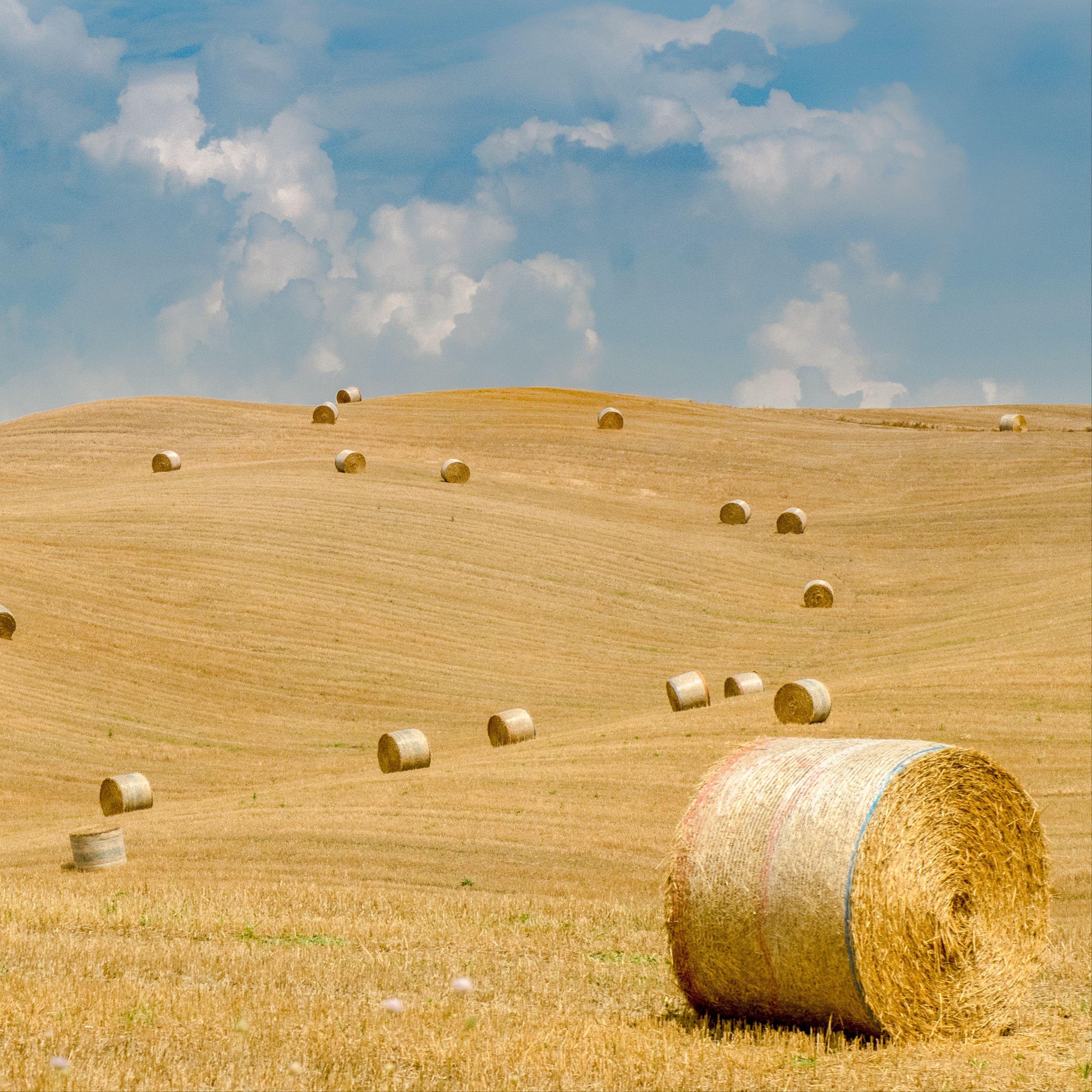 Straw Wallpapers Top Free Straw Backgrounds WallpaperAccess