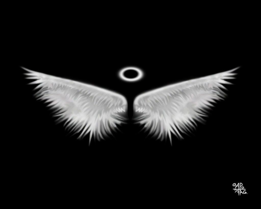 Black Angel Wings Wallpapers Top Free Black Angel Wings Backgrounds