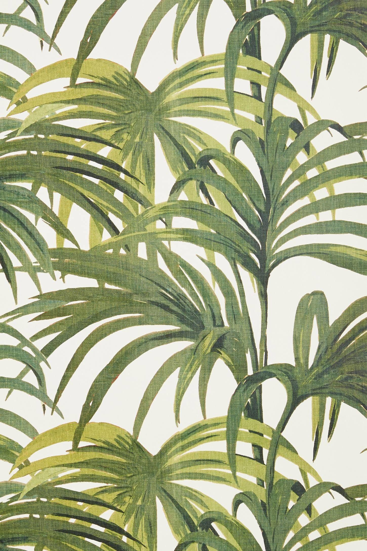 Tropical Leaves iPhone Wallpapers Top Free Tropical Leaves iPhone