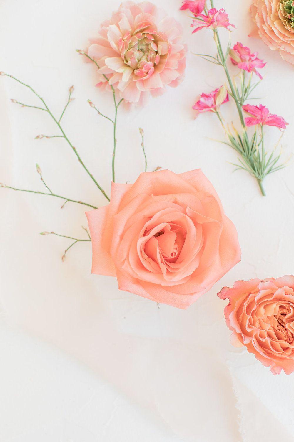 Peach Floral Wallpapers Top Free Peach Floral Backgrounds