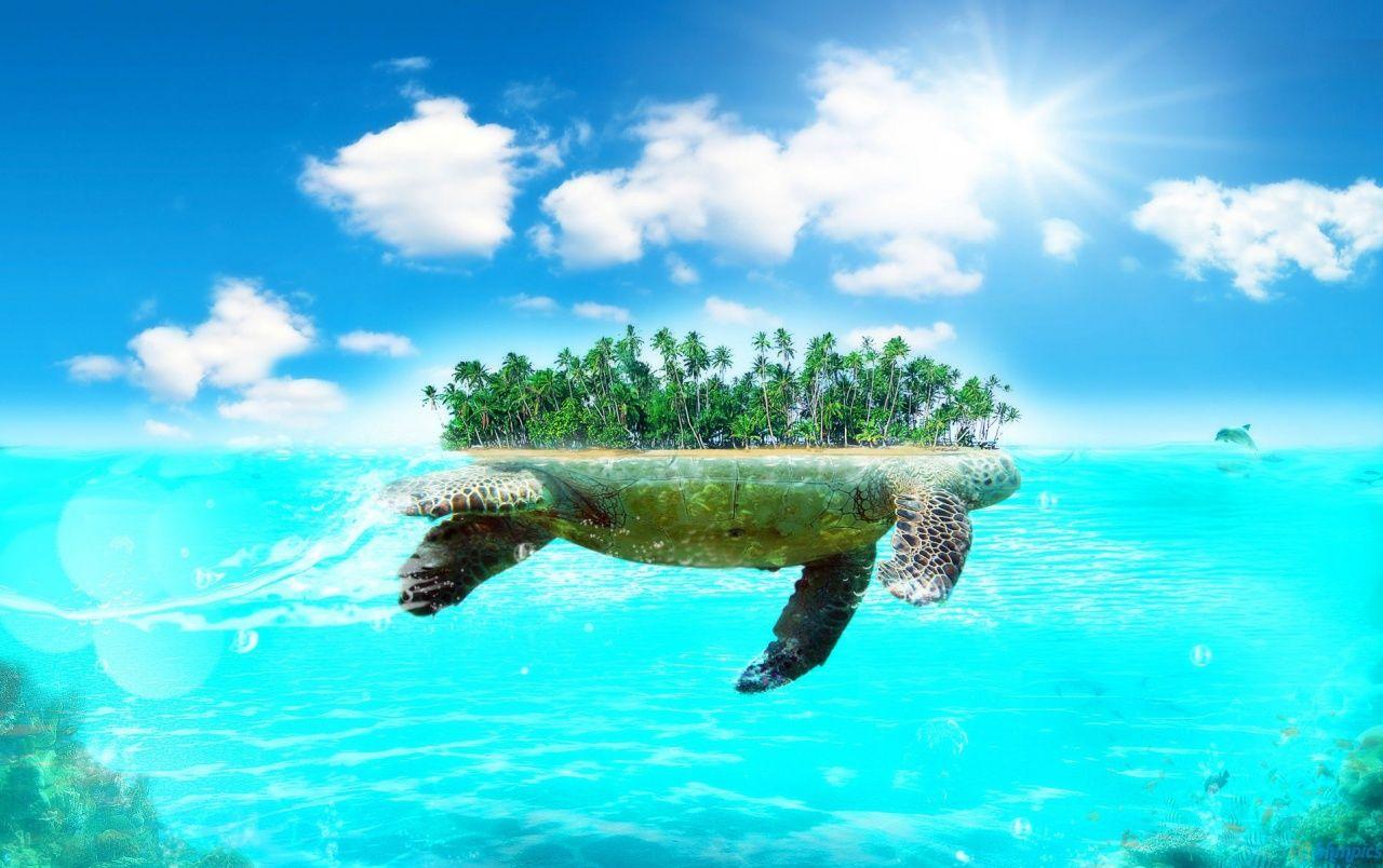 Turtle Island Wallpapers Top Free Turtle Island Backgrounds