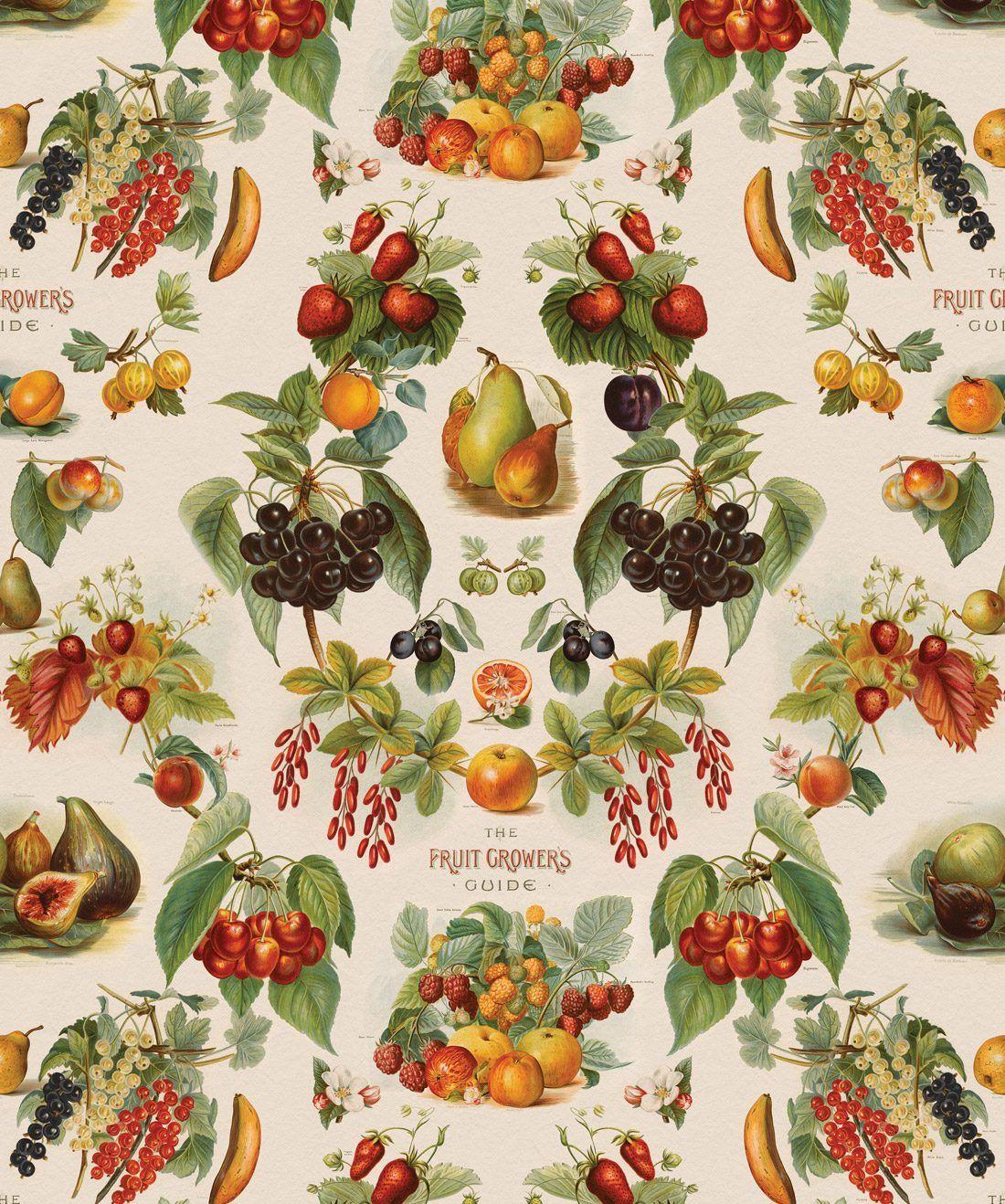 Vintage Fruit Wallpapers Top Free Vintage Fruit Backgrounds WallpaperAccess