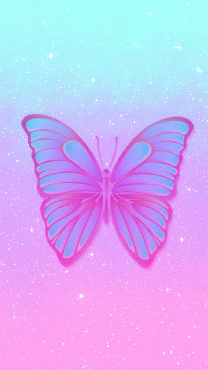 Blue and Pink Butterfly Wallpapers Top Free Blue and Pink Butterfly Backgrounds WallpaperAccess