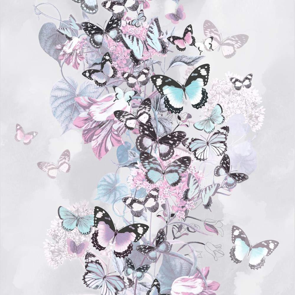 Blue and Pink Butterfly Wallpapers Top Free Blue and Pink Butterfly