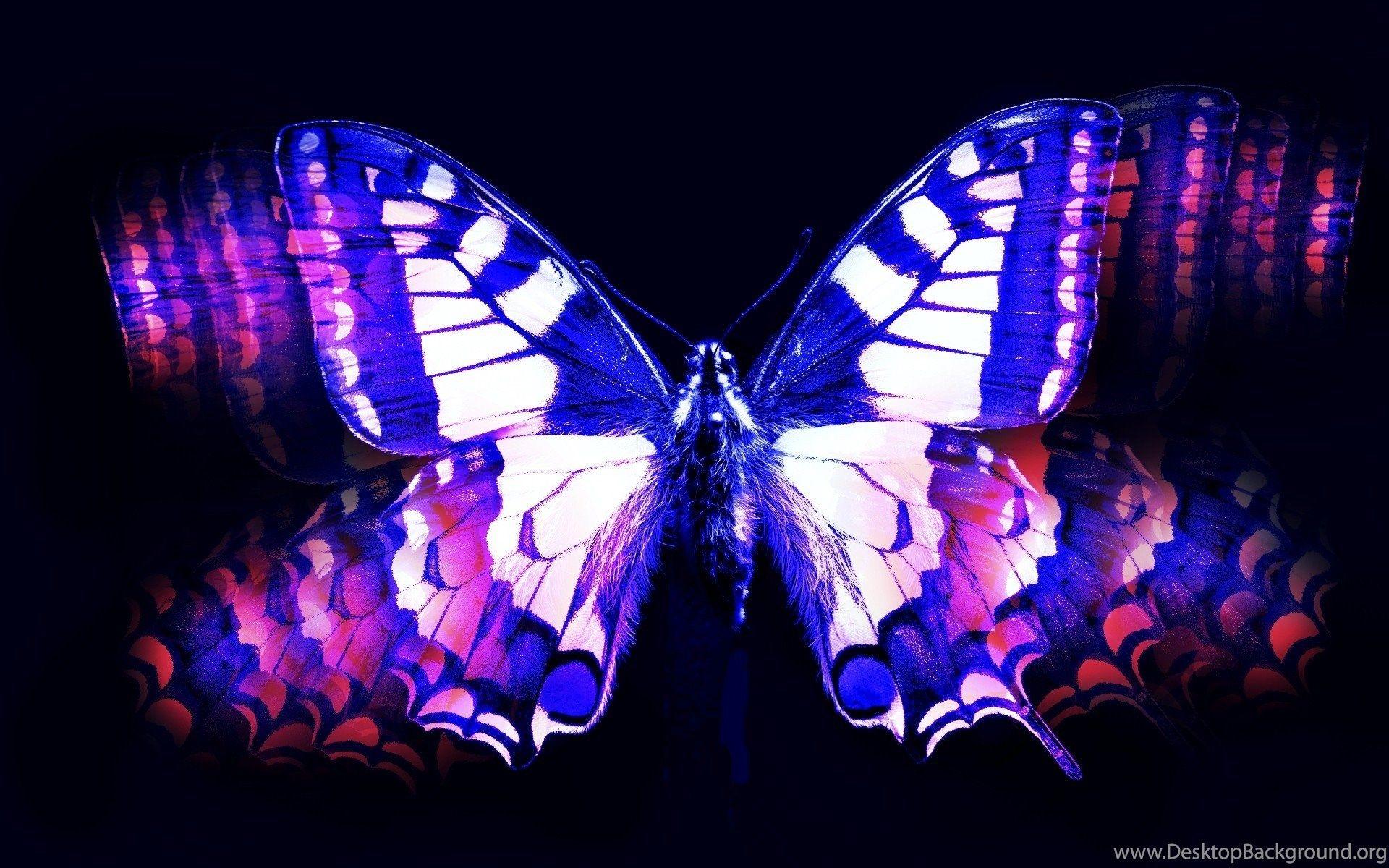 Blue and Pink Butterfly Wallpapers Top Free Blue and Pink Butterfly Backgrounds WallpaperAccess