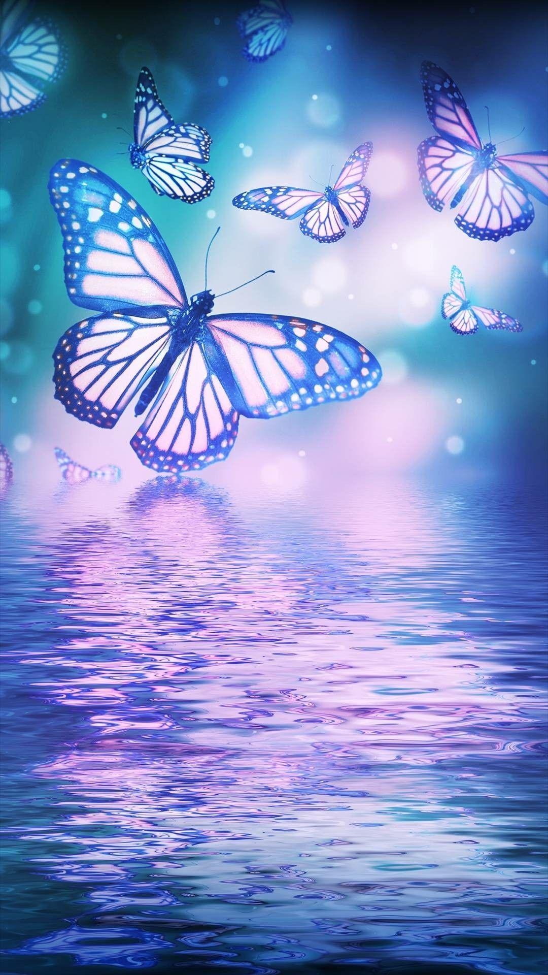 Blue and Pink Butterfly Wallpapers Top Free Blue and Pink Butterfly Backgrounds WallpaperAccess