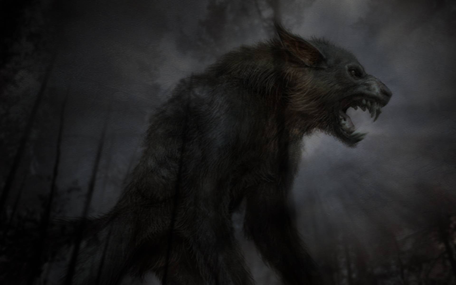 Werewolf Horror Wallpapers Top Free Werewolf Horror Backgrounds