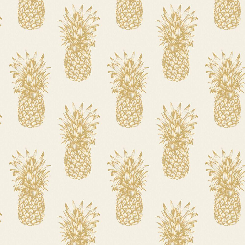 Gold Pineapple Wallpapers Top Free Gold Pineapple Backgrounds
