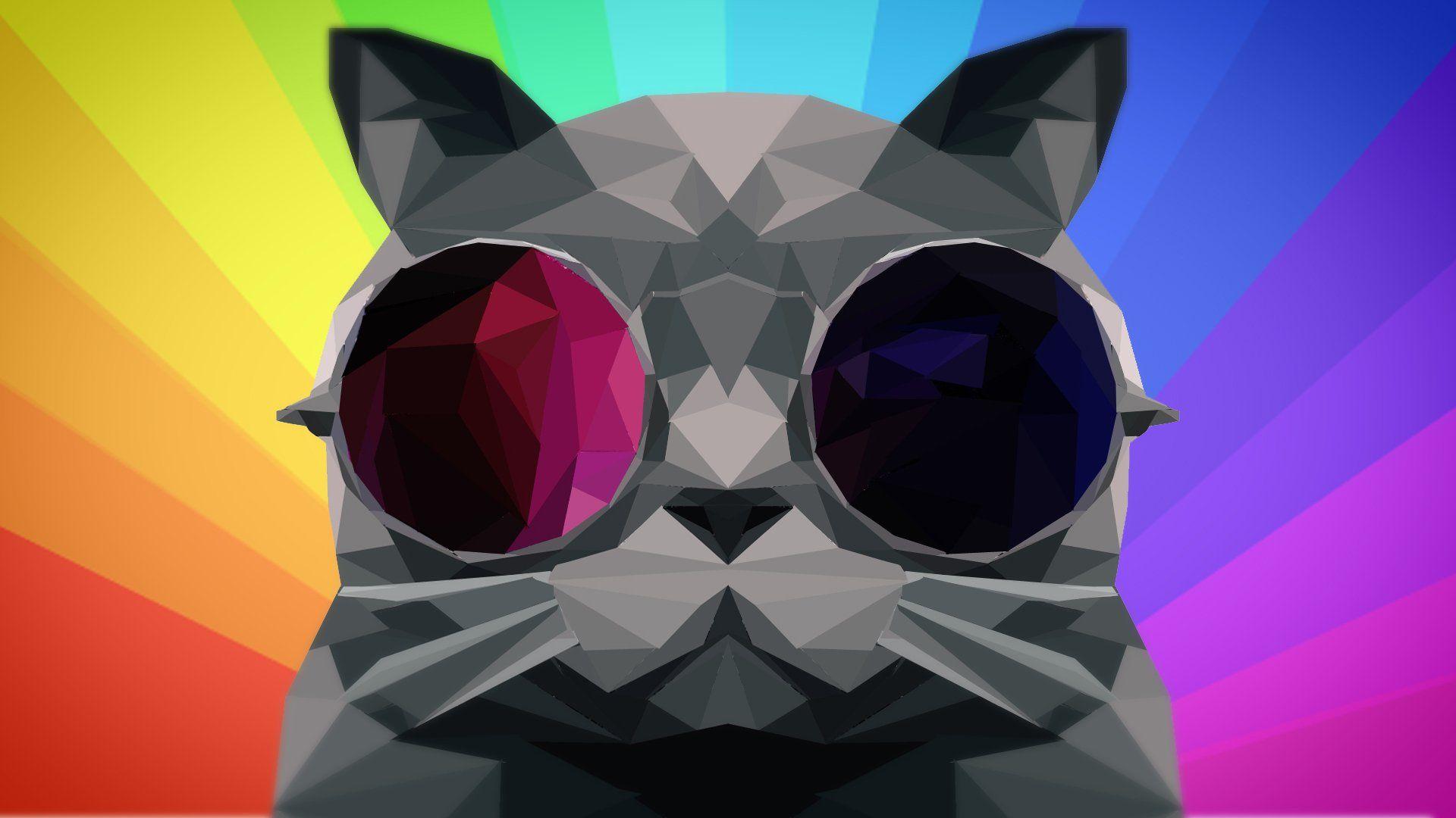 Rainbow Cat Wallpapers Top Free Rainbow Cat Backgrounds WallpaperAccess