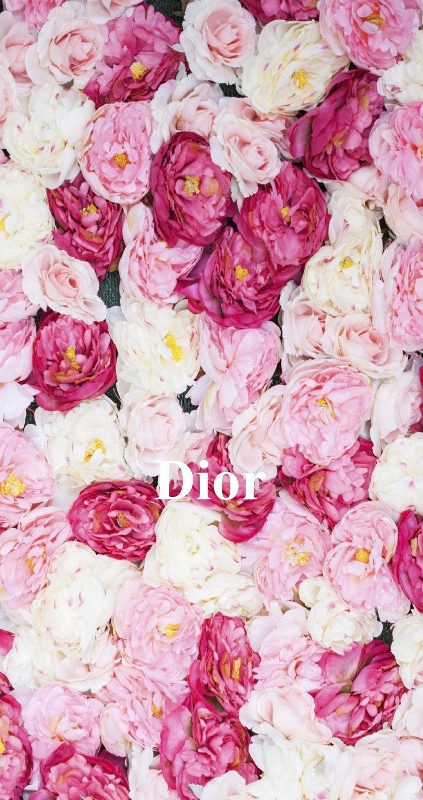 Pink Dior Wallpapers Top Free Pink Dior Backgrounds WallpaperAccess