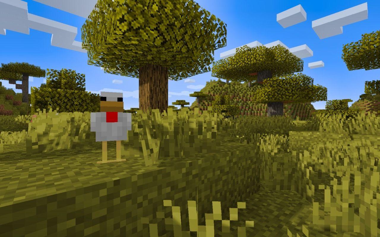Minecraft Chicken Wallpapers Top Free Minecraft Chicken Backgrounds