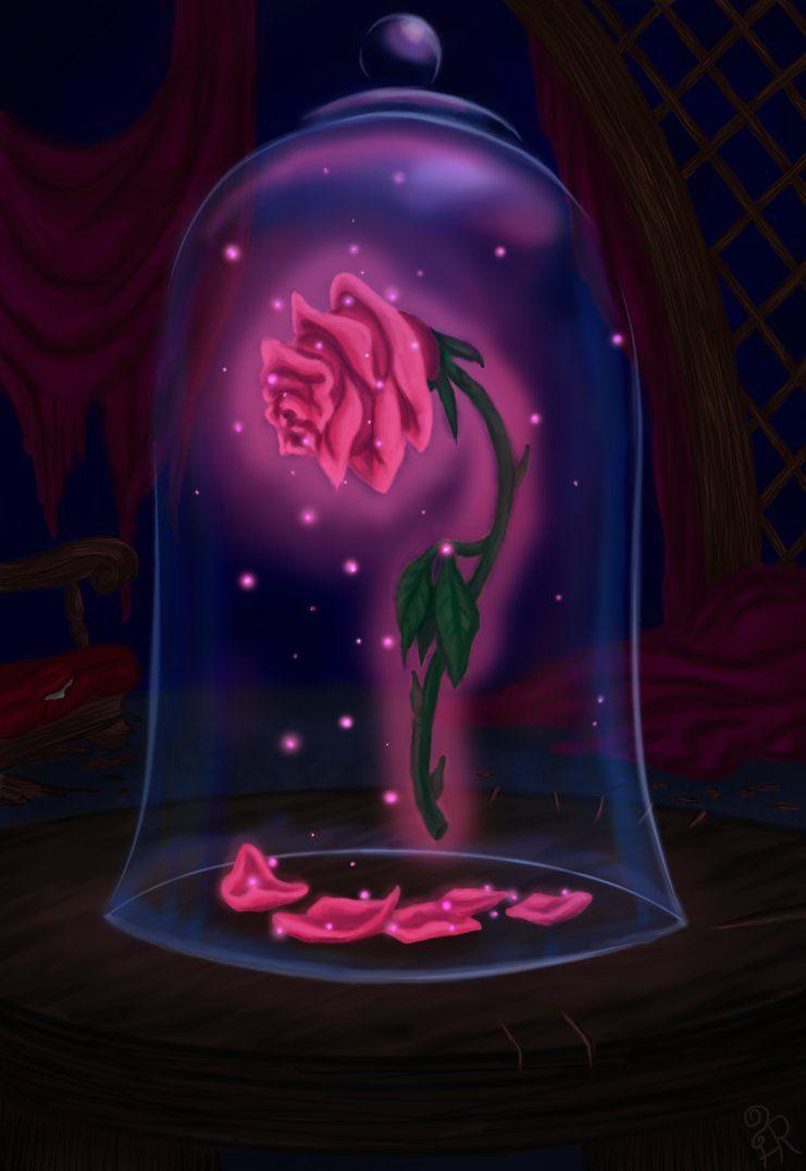 Beauty And The Beast Rose Wallpapers Top Free Beauty And The Beast