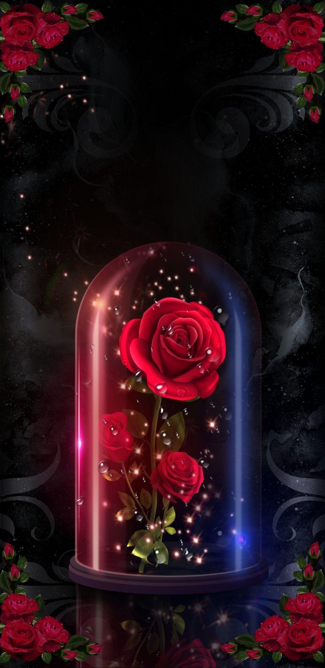Beauty And The Beast Rose Wallpapers Top Free Beauty And The Beast