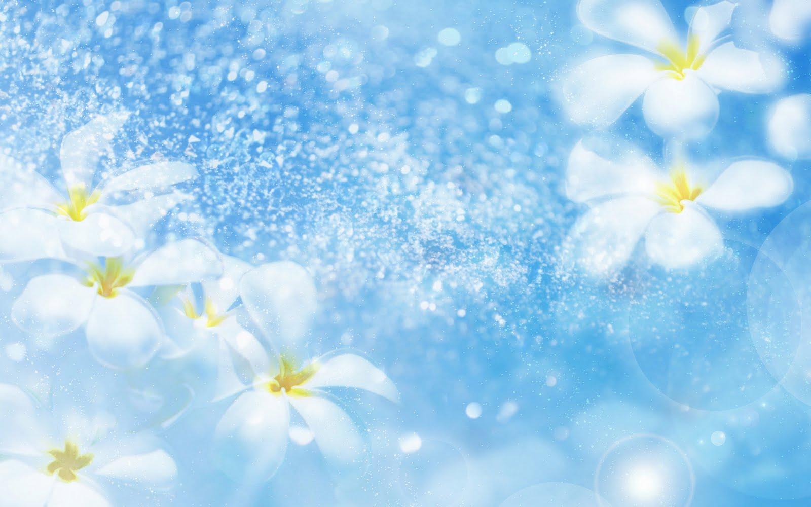 Light Blue Flower Wallpapers Top Free Light Blue Flower Backgrounds