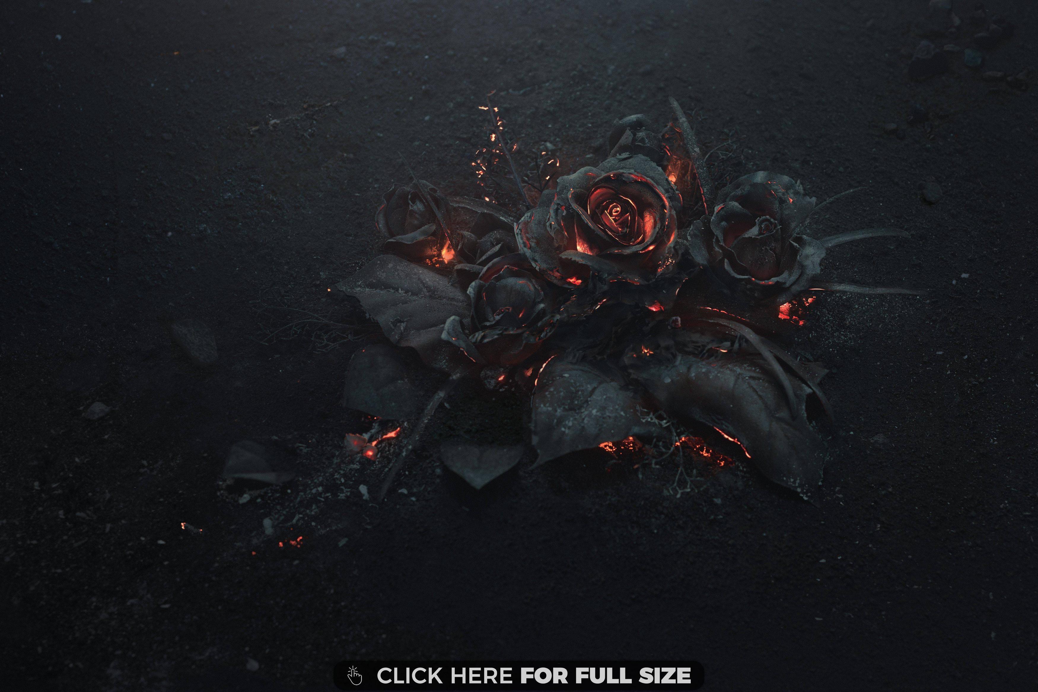 Album Art Wallpapers Top Free Album Art Backgrounds WallpaperAccess