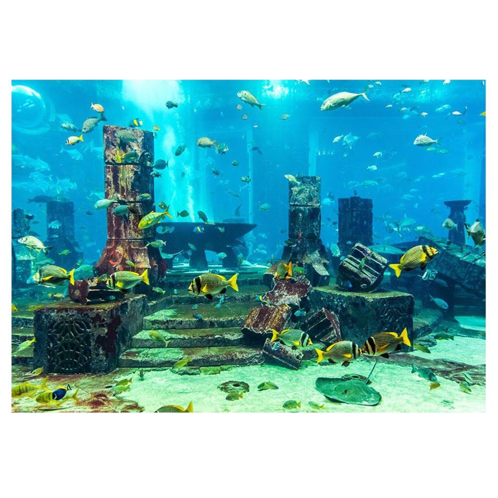 Aquarium Fish Tank Wallpapers Top Free Aquarium Fish Tank Backgrounds WallpaperAccess