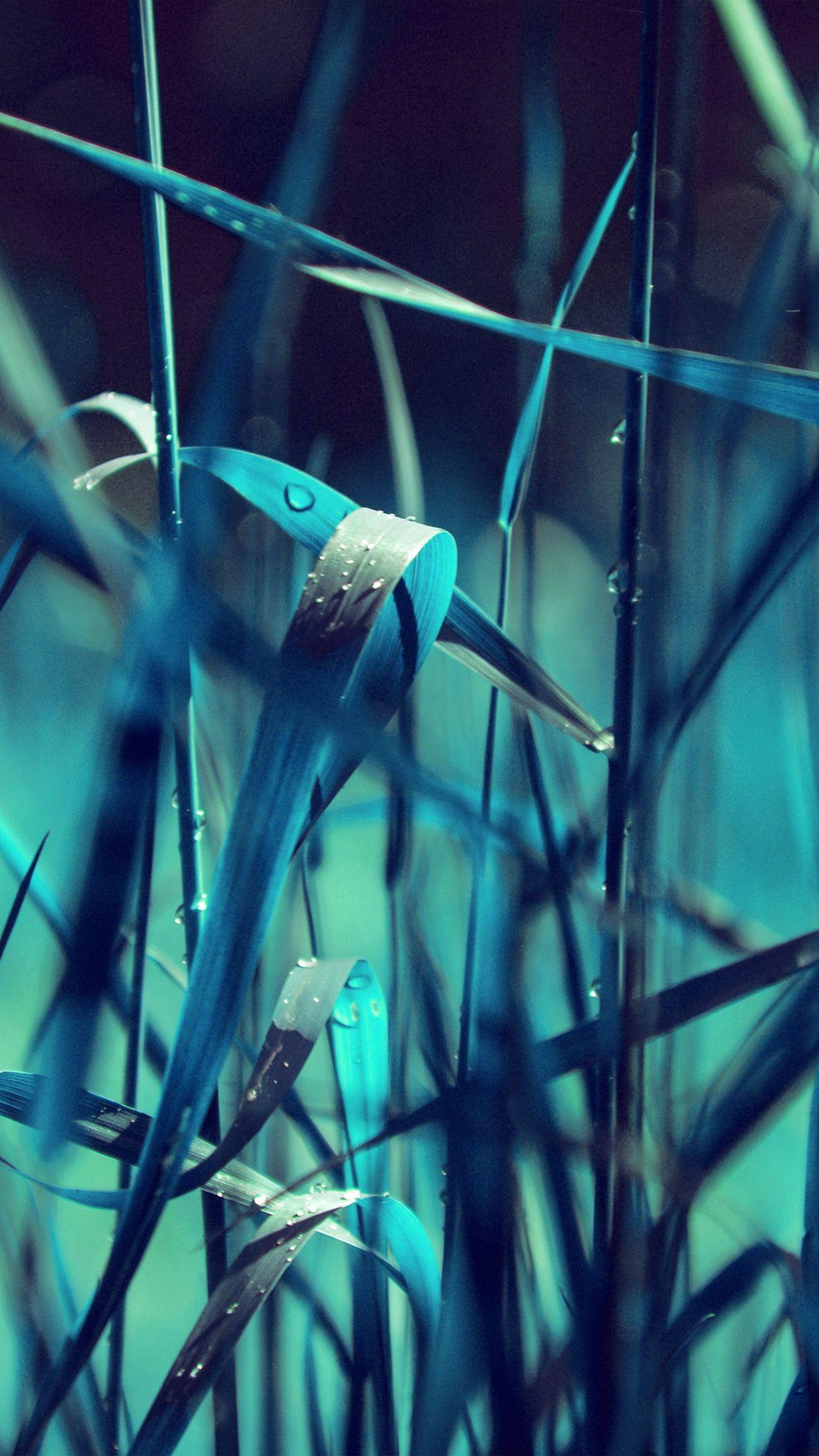 Blue Leaf Wallpapers Top Free Blue Leaf Backgrounds WallpaperAccess