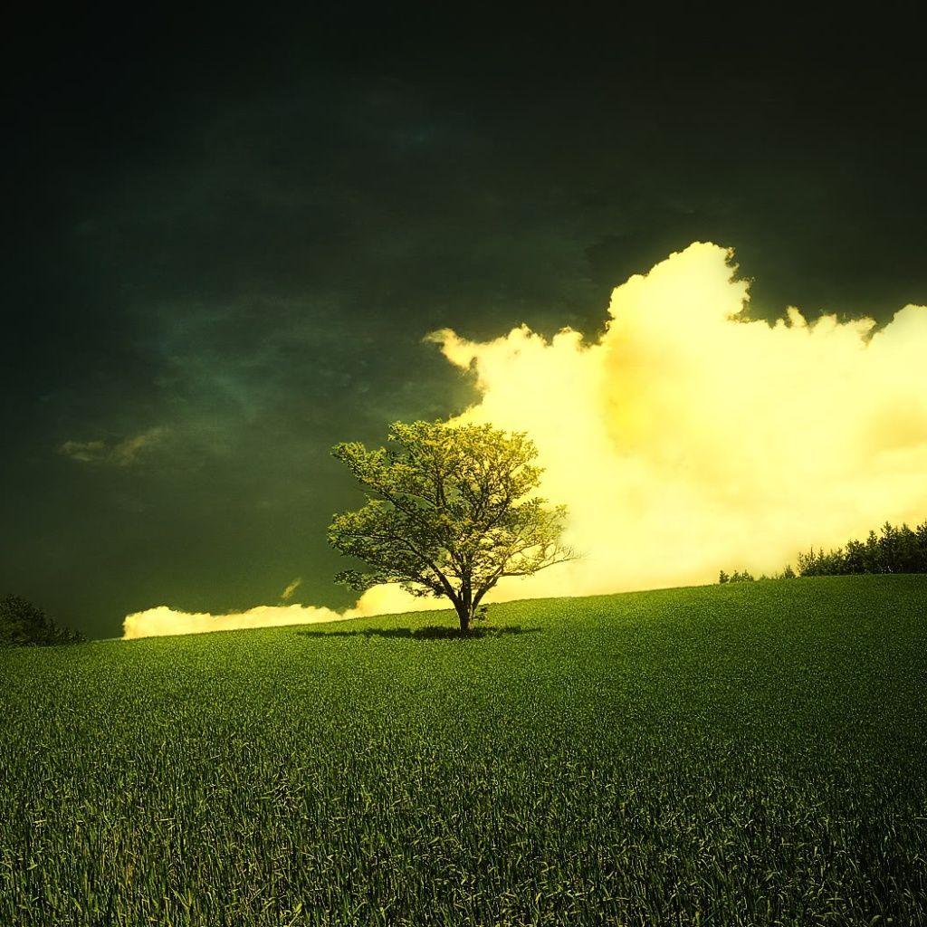 Abstract Nature Wallpapers Top Free Abstract Nature Backgrounds WallpaperAccess