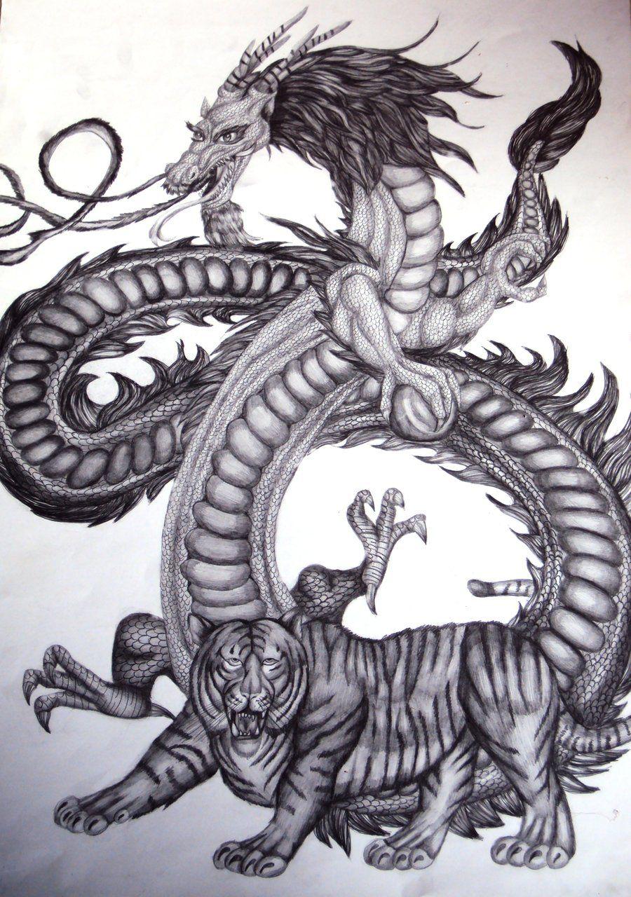 Tiger vs Dragon Wallpapers Top Free Tiger vs Dragon Backgrounds