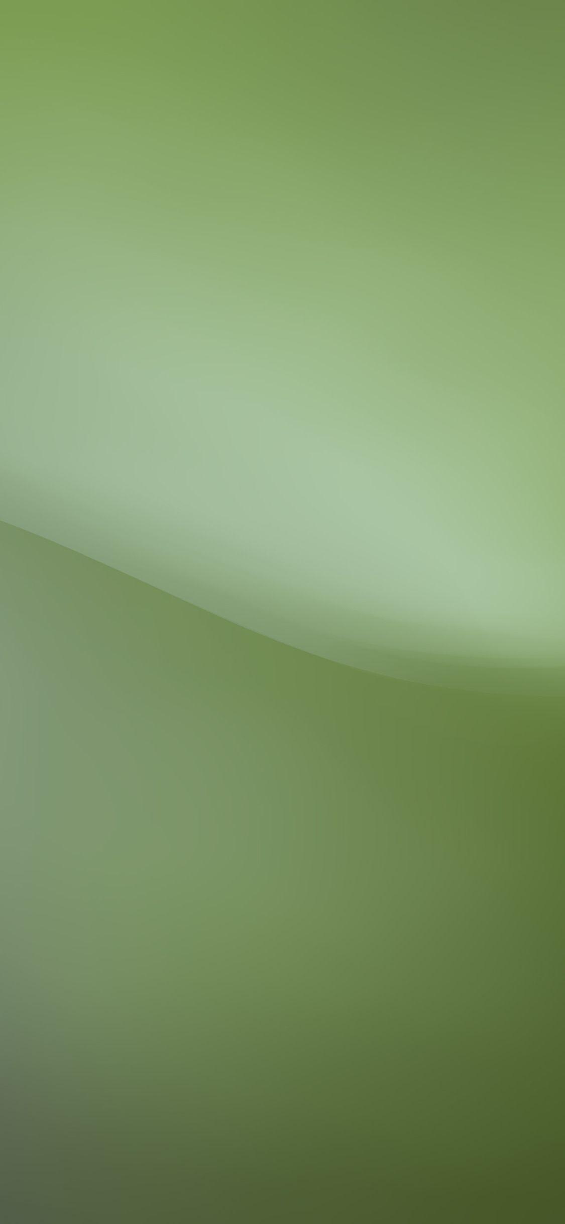 Green Iphone X Wallpapers Top Free Green Iphone X Backgrounds