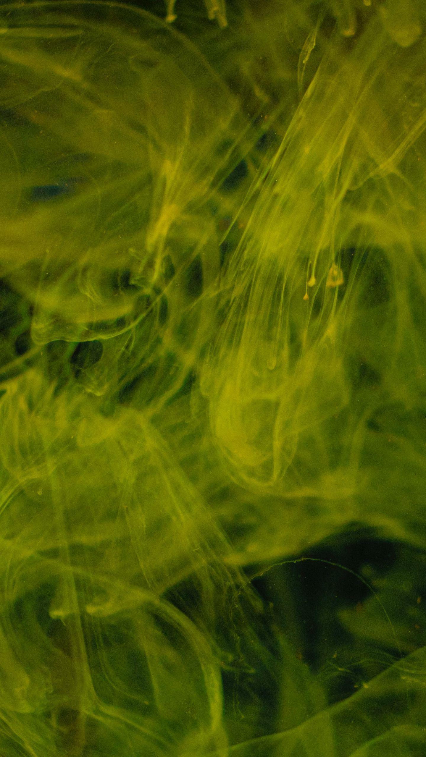 Yellow Paint Wallpapers Top Free Yellow Paint Backgrounds