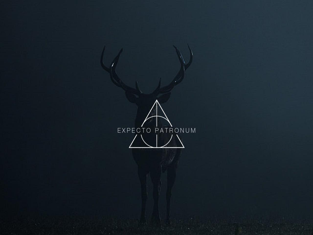 Expecto Patronum Wallpapers Top Free Expecto Patronum Backgrounds